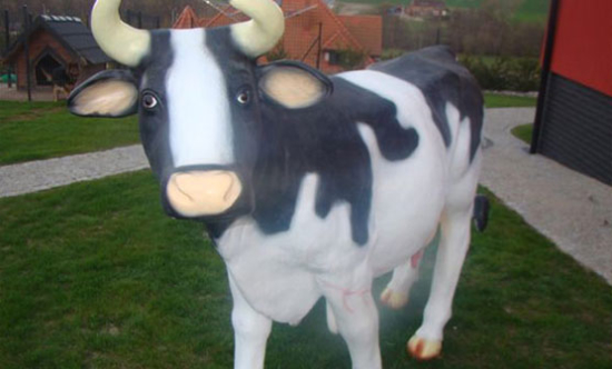 Mućka - super krowa do dojenia